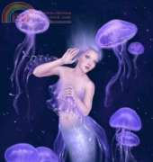 HAED HAERA 5801 Bioluminescence by Rachel Anderson