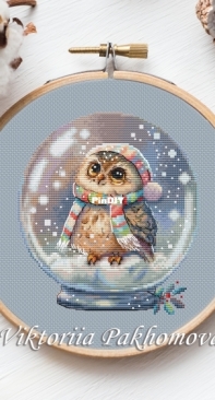 Snowglobe With An Owl by Victoria Pakhomova