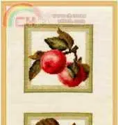 Zolotoe Runo ZR FS-003 Apples