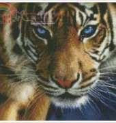 KUSTOM KRAFTS 35013 Blue Eyes