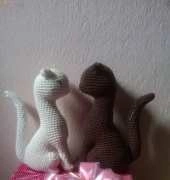 Cat couple