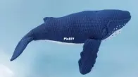 Inessaknit - Inessa - Whale