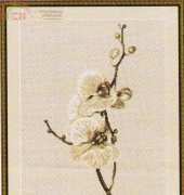 Luca-S B291 Orchids