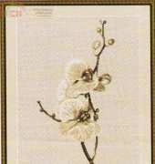 Luca-S B291 Orchids