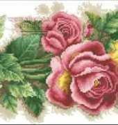 Dome Natural Roze
