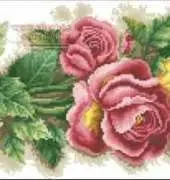 Dome Natural Roze