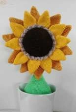 girasole