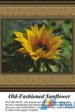 Sunrays Creations FL-48 - Old-Fashioned Sunflower