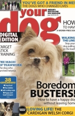 Your Dog - June 2020