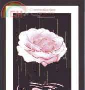 Tangtang Cross Stitch TD-421