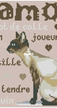 Agenda 2015 (Mango) - Le chat siamois by Isabelle Vautier XSD