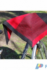 Mi Parti Shawl by Martina Paulsen-English,German-Free