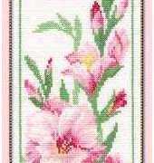 Riolis 754 Gladiolys