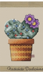 Cactus Heart by Nadezdha Davlichina