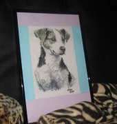 A dog for my sister in law