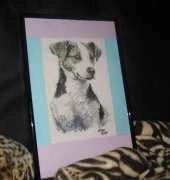 A dog for my sister in law