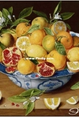 EstE 218 Lemons, Oranges and Pomegranates PCS