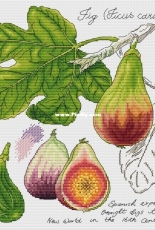 Botany Series - by Alla Erokhova higos XSD