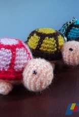 turtle colorful