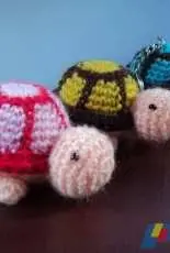 turtle colorful