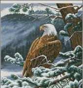 Dimensions 35117 Eagles Eye View XSD