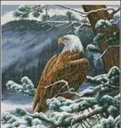Dimensions 35117 Eagles Eye View XSD