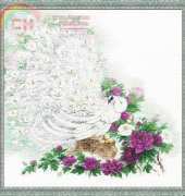 Riolis Premium 100/030 - Garden of Maharaja
