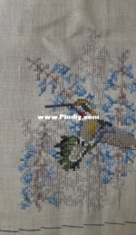 Little hummingbird