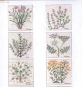 Haandarbejdets Fremme-Krydderurter ,Herbs,Kräuter