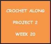CROCHET ALONG - PROJECT 2 - WEEK 20