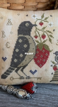 Scattered Seed Samplers - Summer Sweets Pinkeep