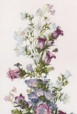 Oven / OBEH / Aries (Овен) 952 - Spring Composition