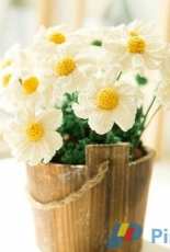 New Mommy Handmade DIY - Su Su Jie Jia - Susans Family - A054 - Daisy - Chinese - Free