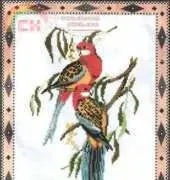 Riolis 487 Exotic Birds XSD
