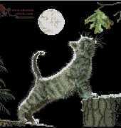 Maxs Moon from Cross My Heart CSB-155 Kitten Kaboodle XSD