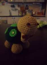Tartaruga