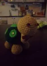 Tartaruga