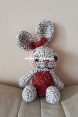 The rabbit