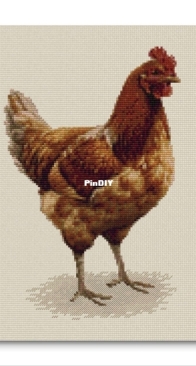 Galart Design - Chicken by Galya
