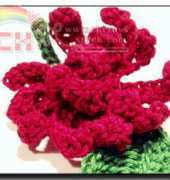 Meli Bondre - Camelia Shanahan - Allspice Flower - Free