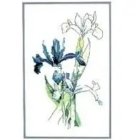 Green Apple 589 - Dutch Iris PCS
