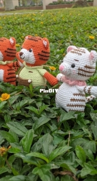 Baby tigers