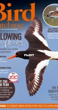 Bird Watching UK - January 2026