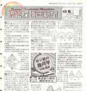 Origami Tanteidan - Magazine 45