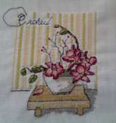 Orquidia.