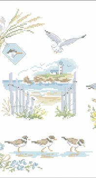 Mouettes rieuses ("Bords de mer" page 49 - Véronique Enginger) PCS