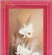 FIORI 57