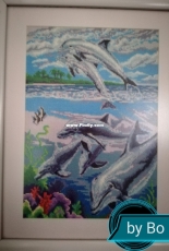 Sea world by Bo