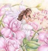 HAED - HAEJOAB110 Rose Fairy by Joanna Bromley