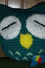 Little Owl